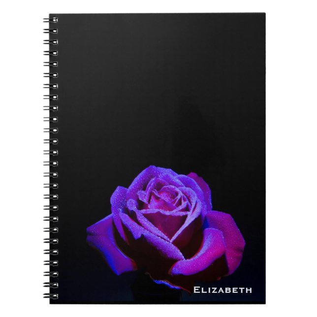Carnet Rose pourpre avec gouttes d'eau sur Arrière - plan (Devant)