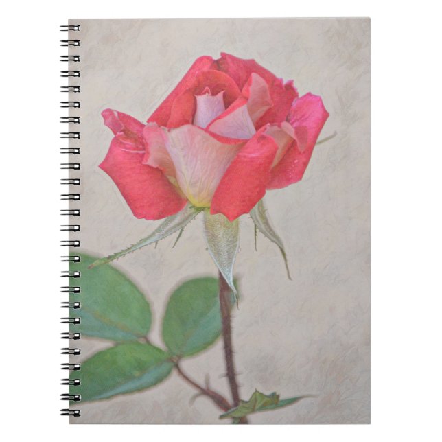 Carnet Rose Rose Bud Art de Gertie's Garden (Devant)
