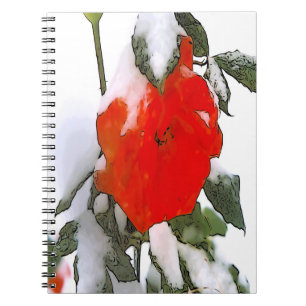 Carnet Rose rouge en neige