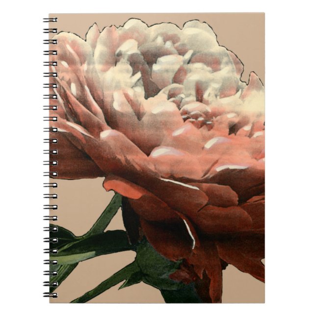 Carnet Rose rouge rubis aux accents blancs (Devant)