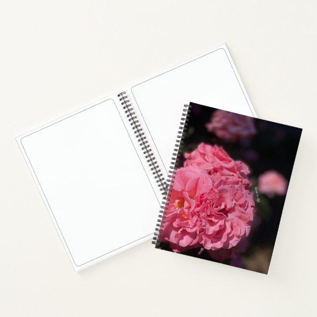 Carnet Roses roses (Intérieur)