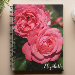 Carnet Roses roses rose Floral Photographie élégante pers