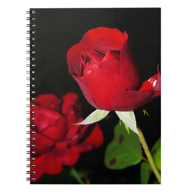 Carnet Roses rouges (Devant)