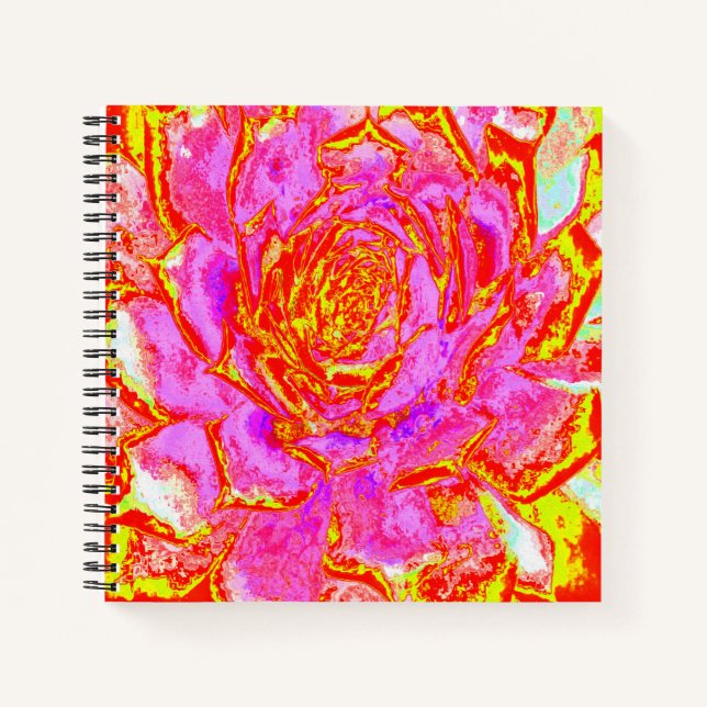 Carnet Rosette Succulente Succulente rose, rouge et jaune (Devant)