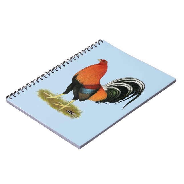 Carnet Roster de Gamecock Wheaten (Côté gauche)