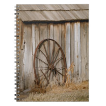 Roue du Wagon Rustic Americana sur le vieux Shed