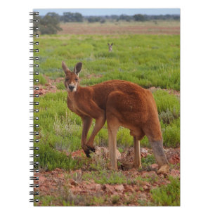 Carnet rouge australien de kangourou