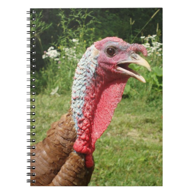 Carnet rouge de Bourbon Turquie (Devant)