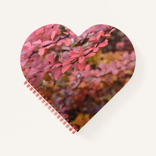 Carnet Rouge Orange Chute Feuillage Automne Feuilles Natu (Devant)