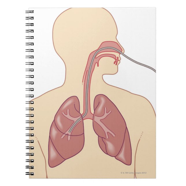 Carnet Route du Bronchoscope (Devant)