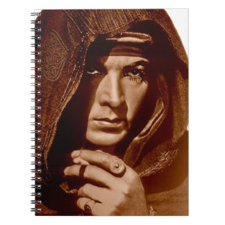 Carnet Rudolph Valentino : Le cheik