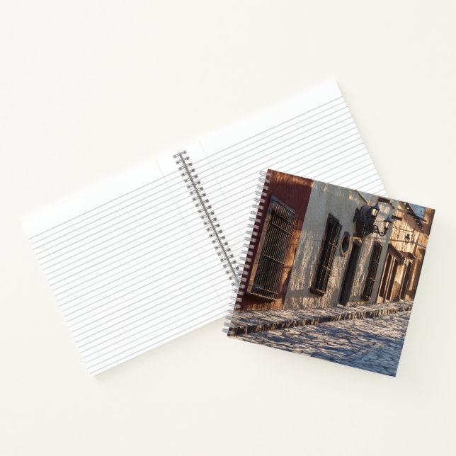 Carnet Rue pavée de Mexico (Intérieur)