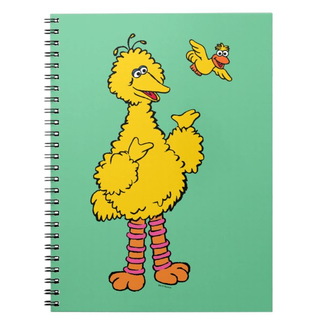 Carnet Rue Sésame | Big Bird & Little Bird (Devant)