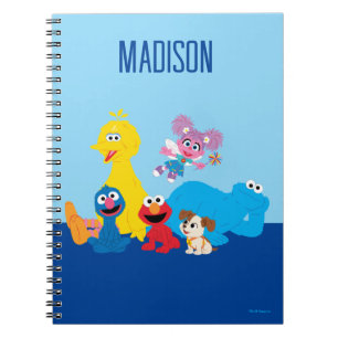 Carnet Rue Sésame   Coloré Sesame Street Pals