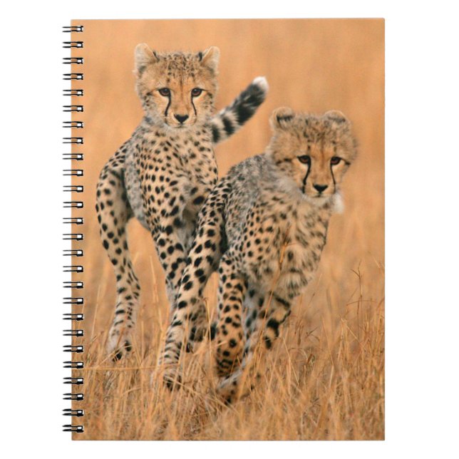 Carnet Running Young Cheetahs (Devant)