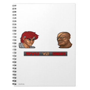 Carnet Ryu contre Sagat