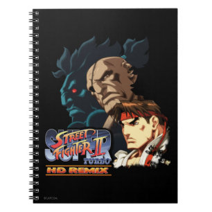 Carnet Ryu, Sagat et Akuma