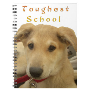 Carnet Sagesse d'or : Une vision oeil de chien de l'école