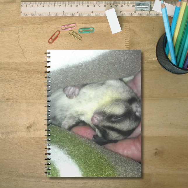 Carnet Saigneuse à sucre dormant dans la couverture (Sugar Glider Sleeping in Blanket Notebook)