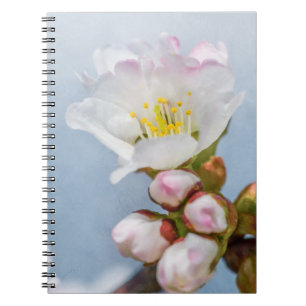 Carnet Sakura Blossom