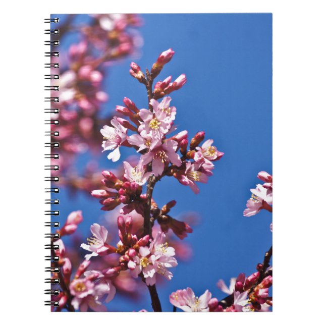 Carnet Sakura Cerry Blossoms Touché Bleu (Devant)