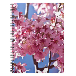 Carnet Sakura Cherry Blossoms Red Stars