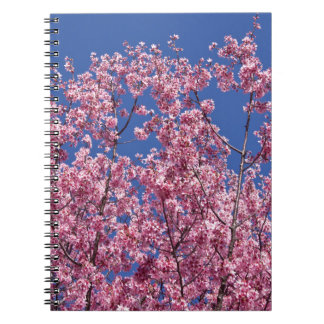 Carnet Sakura Cherry Fleurit Dans Le Bleu