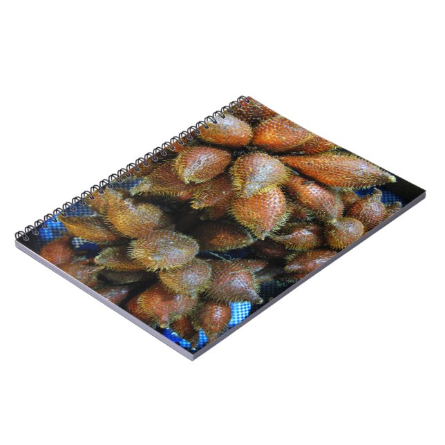 Carnet Salak [Fruit de serpent] (Côté gauche)
