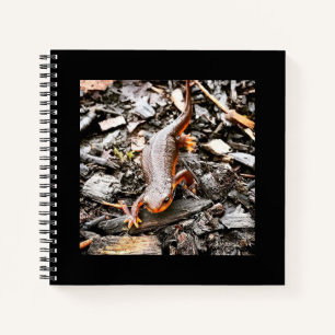 Carnet Salamandre dans la forêt, Oregon