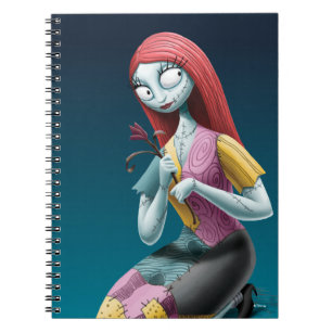 Carnet Sally   C'est comme un rêve