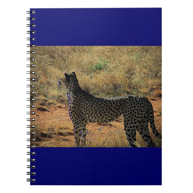 Carnet Samburu Cheetah (Devant)