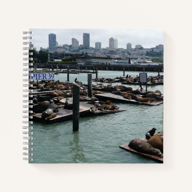 Carnet San Francisco et Pier 39 Sea Lions City Skyline (Devant)