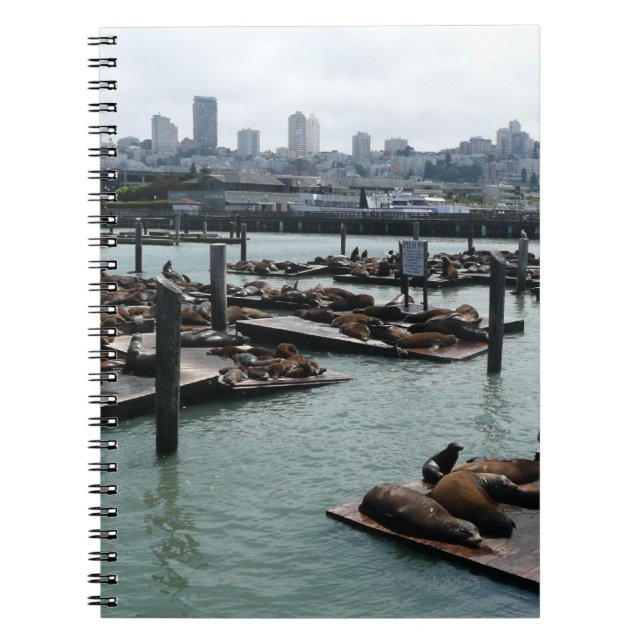 Carnet San Francisco et Pier 39 Sea Lions City Skyline (Devant)