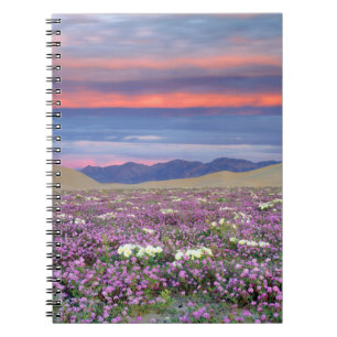 Carnet Sand Verbena & Dune Primrose Fleurs sauvages au co