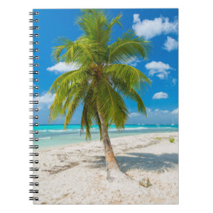 Carnet Sandy beach with tropical palm tree