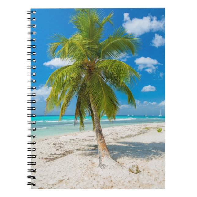 Carnet Sandy beach with tropical palm tree (Devant)