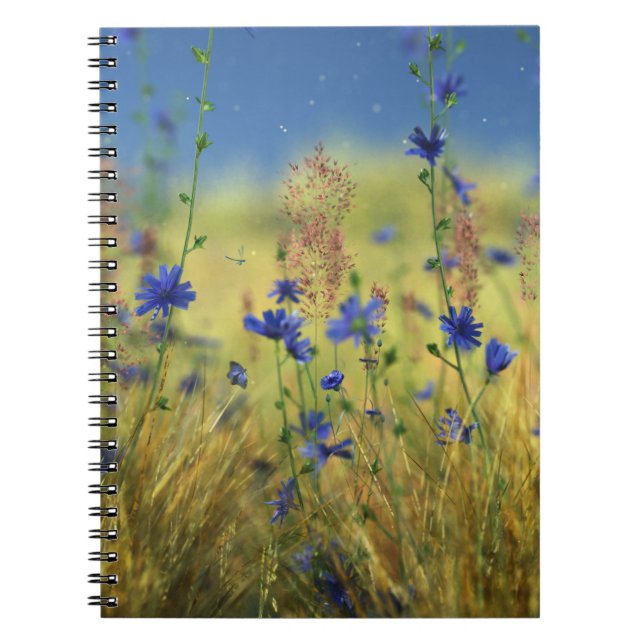 Carnet saphir et or (Devant)