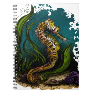 Carnet Sarcophage de mer sarcelle Esthétique de l'océan C