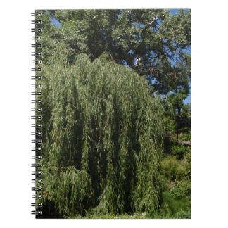 Carnet Saule pleurant