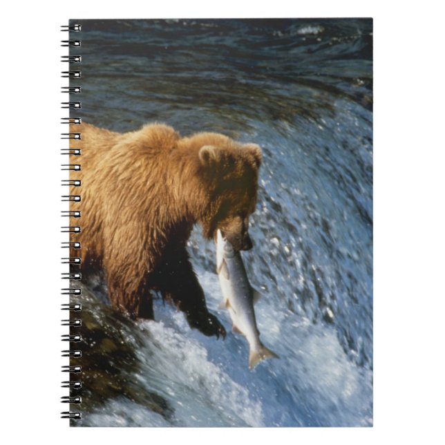 Carnet Saumon Brown de l'Alaska à Brooks (Devant)