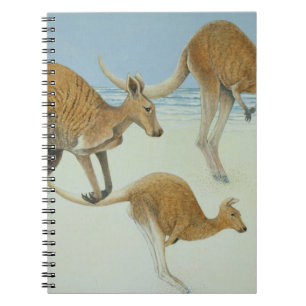 Carnet Saut en avant