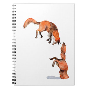 Carnet Sauter Renard Rouge