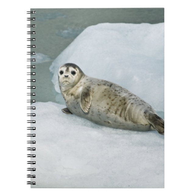 Carnet Sceau du port (Devant)