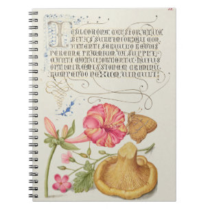 Carnet Scène de jardin avec fleurs, papillon et champigno