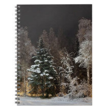 Scène de nuit forestière hivernale cosy