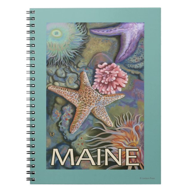 Carnet Scène MaineTidepool (Devant)
