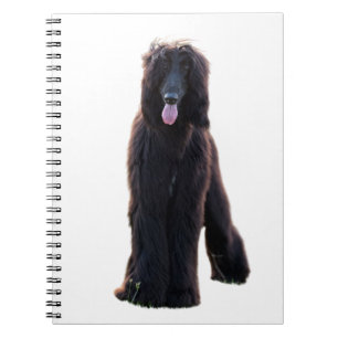 Carnet Schwarzer Afghane