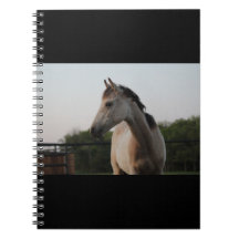 Carnet scolaire Buckskin Spirit