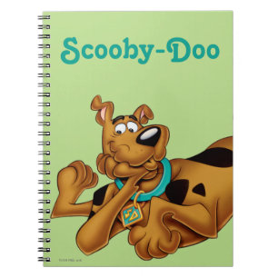 Carnet Scooby Doo Allongé