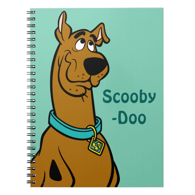Carnet Scooby Doo Chiot Yeux (Devant)
